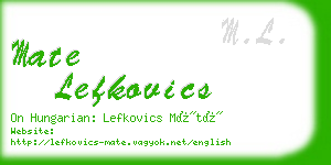 mate lefkovics business card